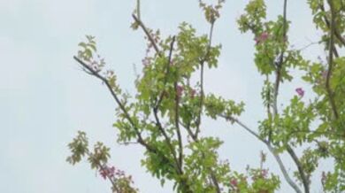 善良妈妈的朋友3